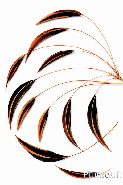 Ente Mandarin - 15-20 cm - aztekengold